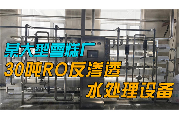 今天为大家展示一套某大型雪糕厂30吨RO反渗透水处理设备