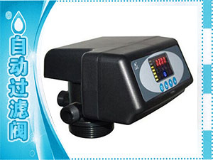 自动过滤阀
