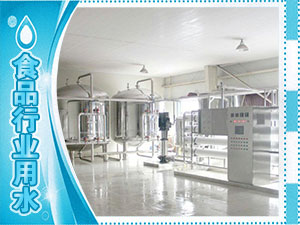 食品厂、水厂生产用水系列