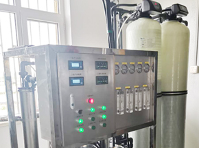 辽宁省大连某海参厂加工用水双极反渗透设备